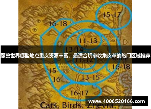 魔兽世界哪些地点重皮资源丰富，最适合玩家收集皮革的热门区域推荐